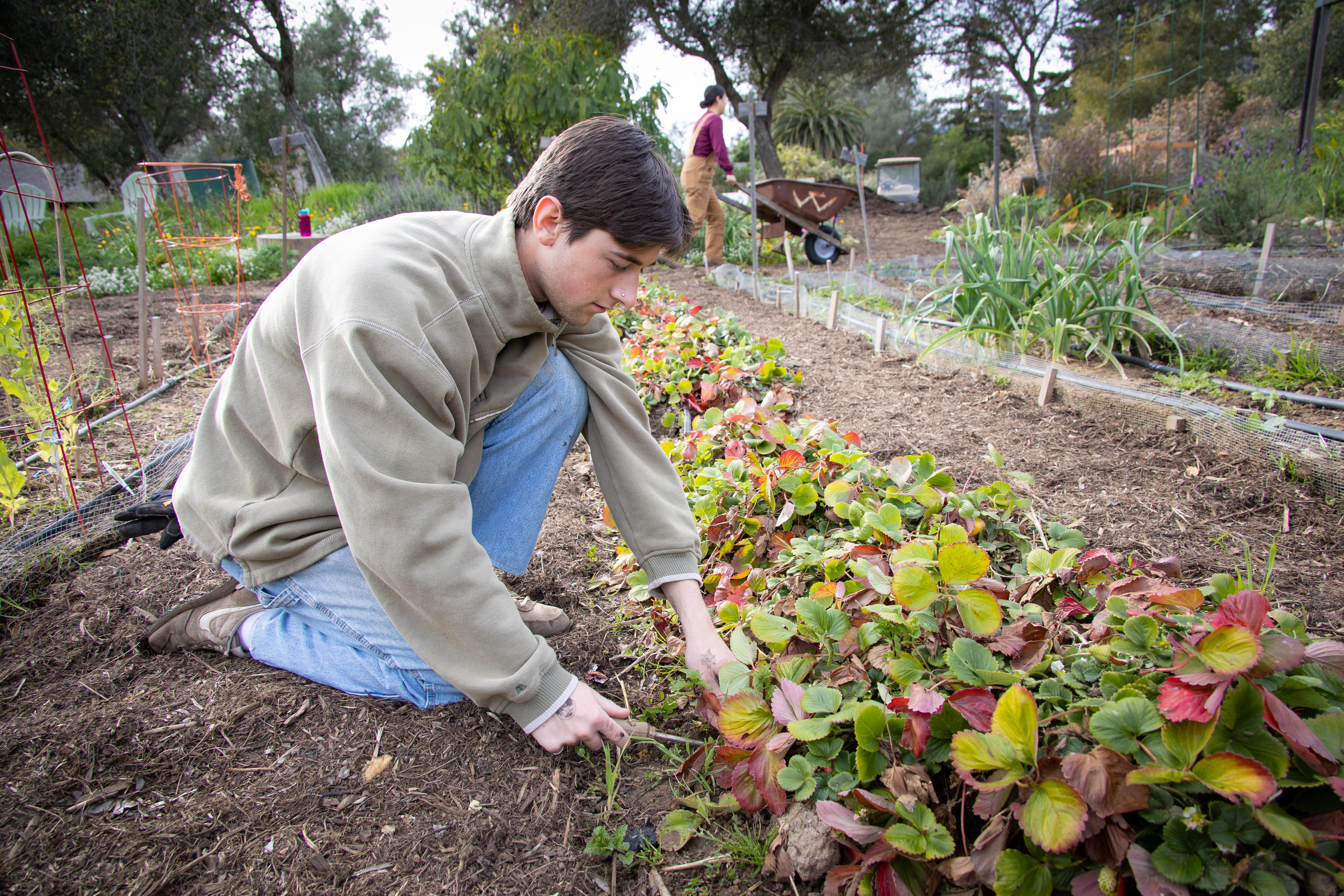 student gardening